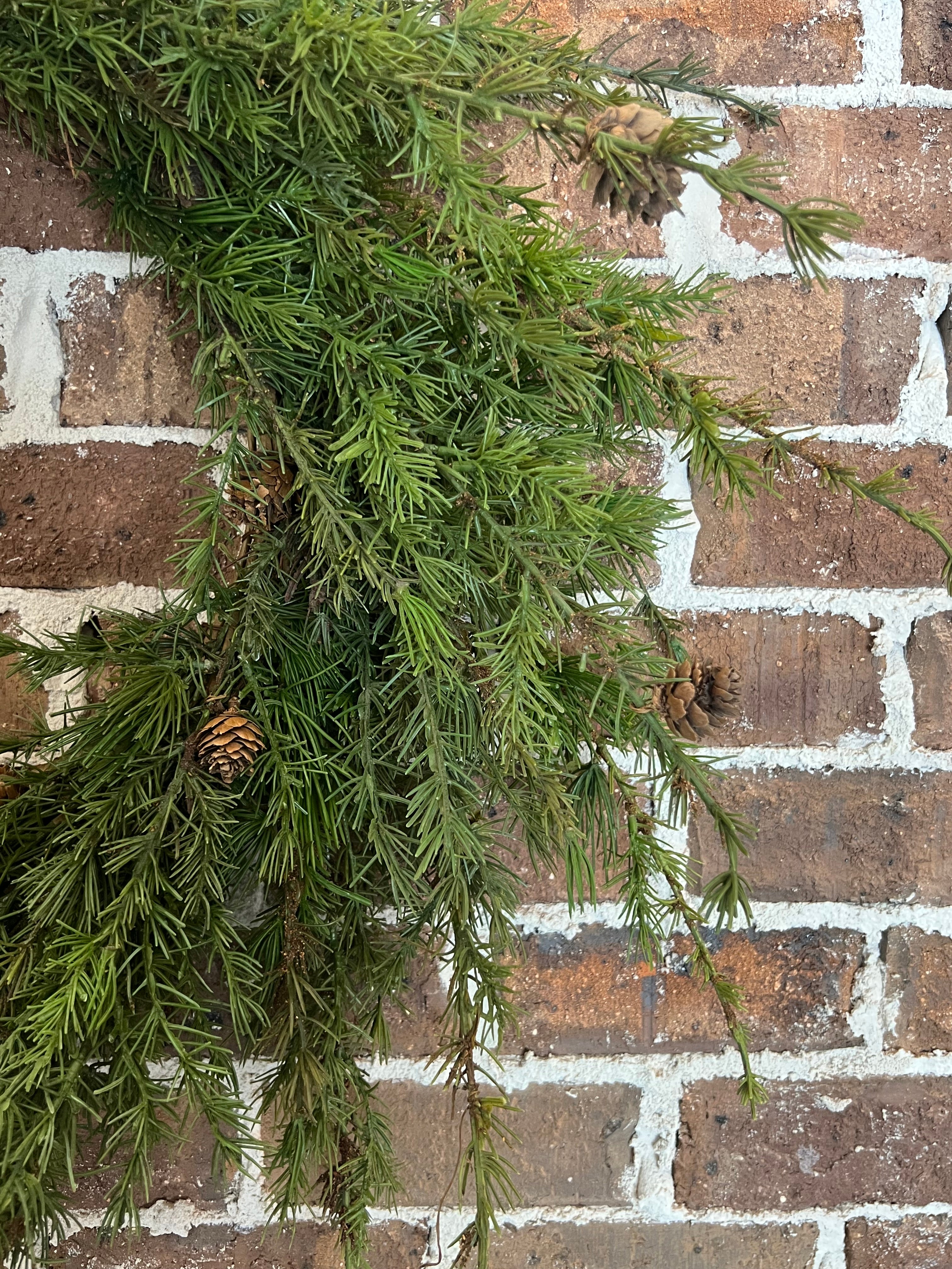 28in Larix Wreath w/ Cones