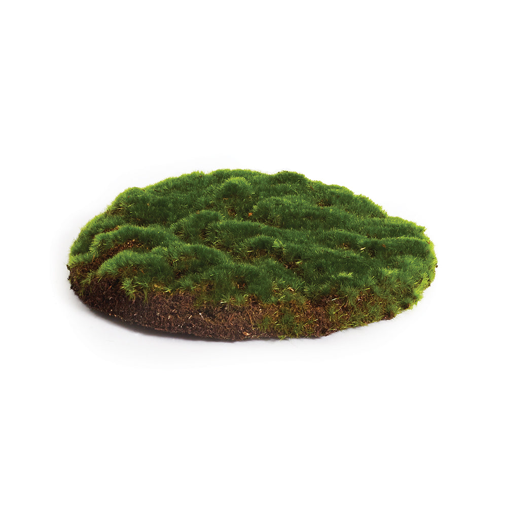 Moss Sheet (2 sizes)