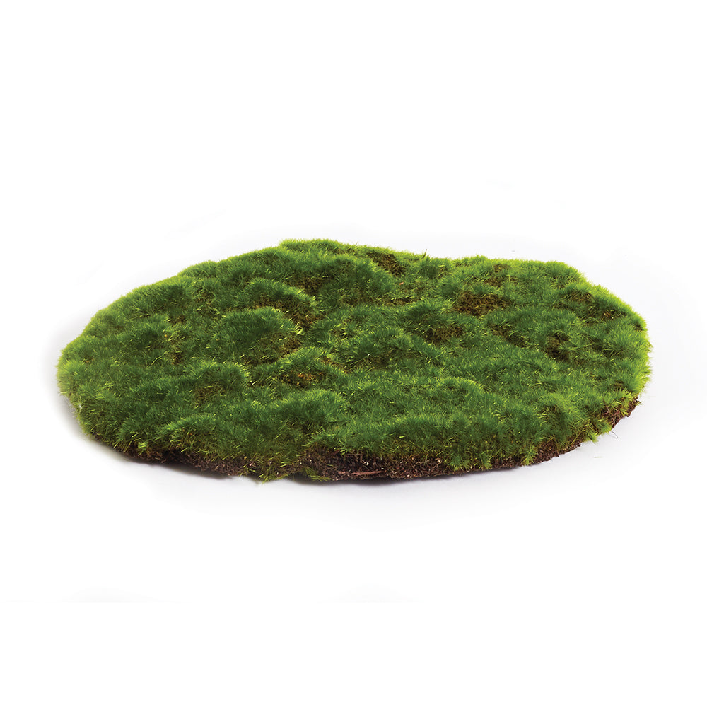 Moss Sheet (2 sizes)