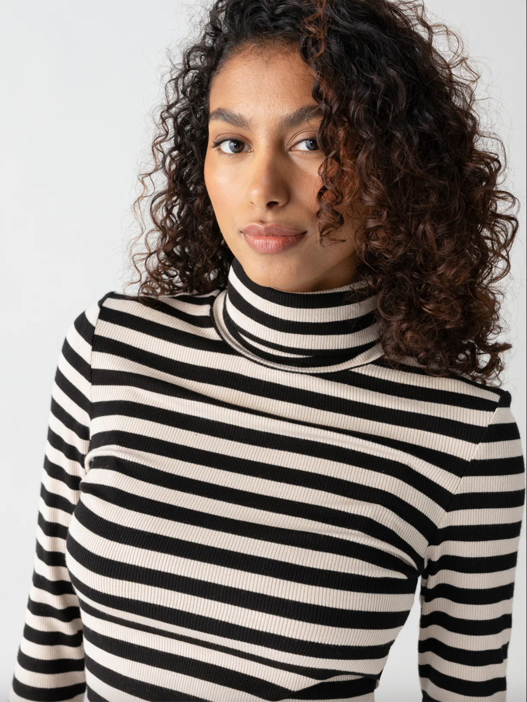 Essential Turtleneck-Stripe