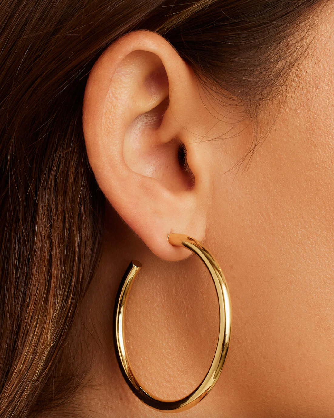 Carter Statement Hoops