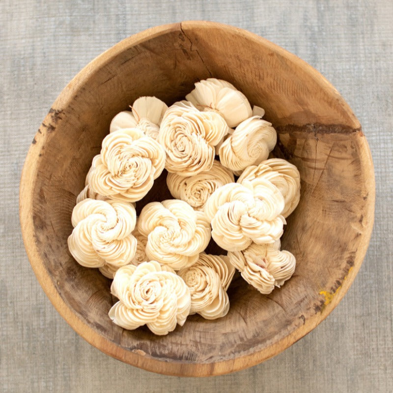 Dried Shell Flowers (Bag of 16)