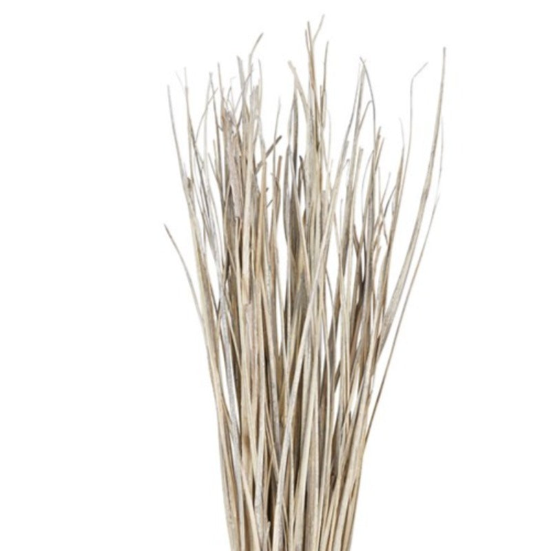 Dried Natural Date Palm Leaf Bunch (36")