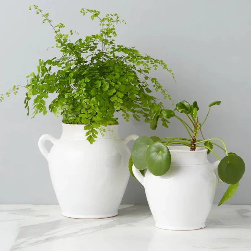 White French Confit Pot (2 Sizes)