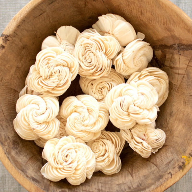 Dried Shell Flowers (Bag of 16)