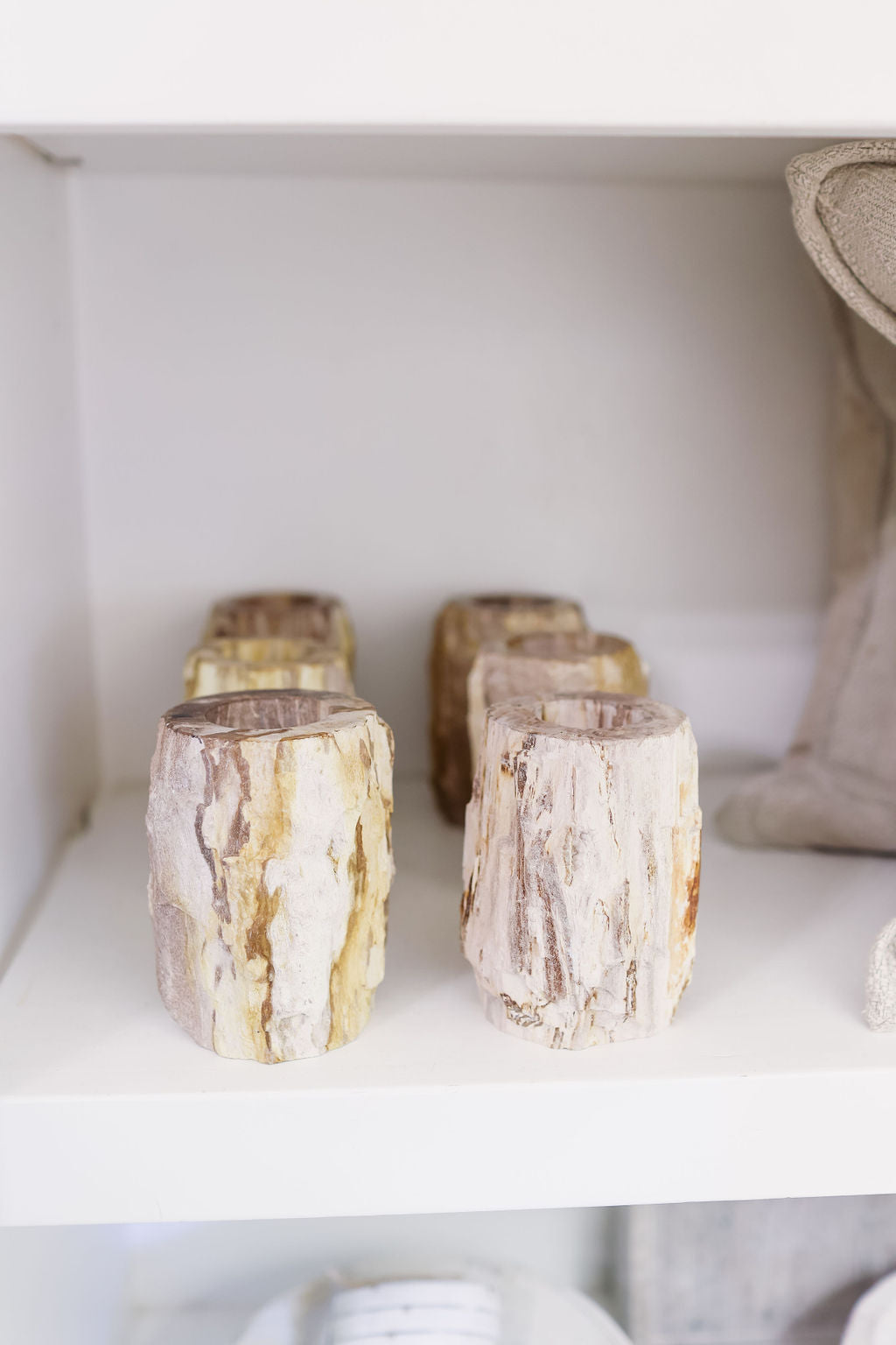 Petrified Wood Candle Holder (2 Colors)